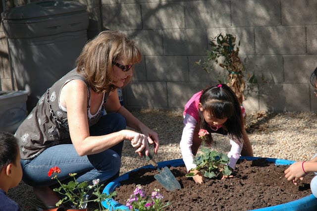 Easy Garden