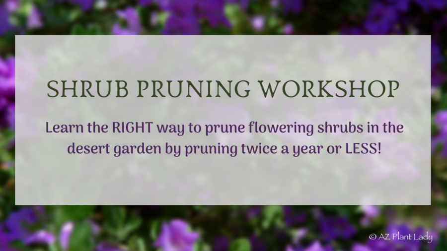 Shrub Pruning Workshop