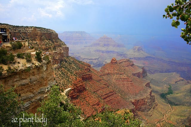 Grand Canyon