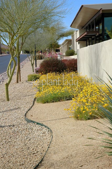 Community Center landscape