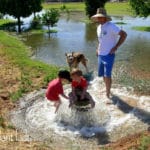 Flood-Irrigation