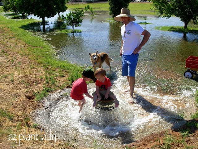 small farm 