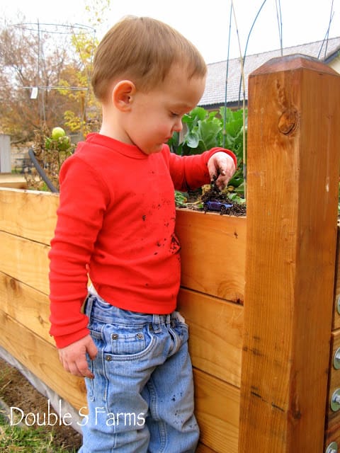 Vegetable garden