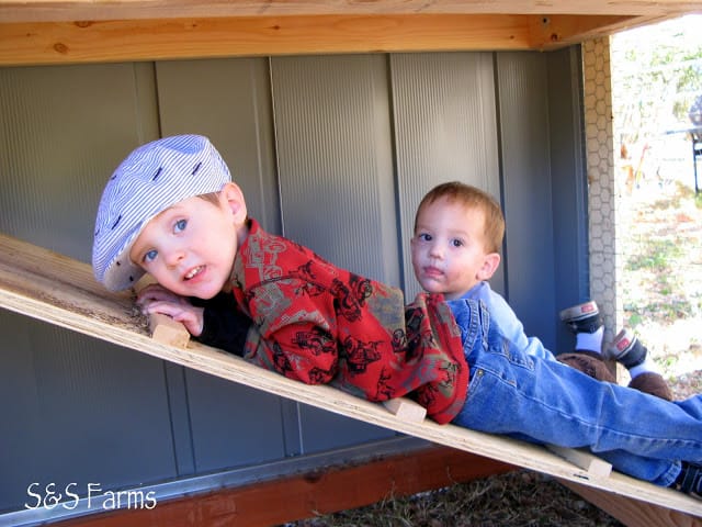 Little Farmer and Littlest Farmer