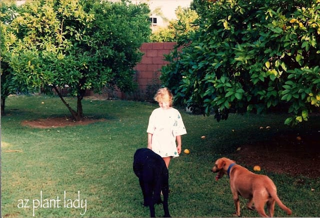 My oldest daughter in our backyard 