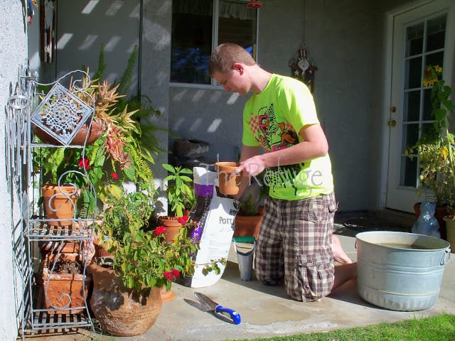 Container Garden