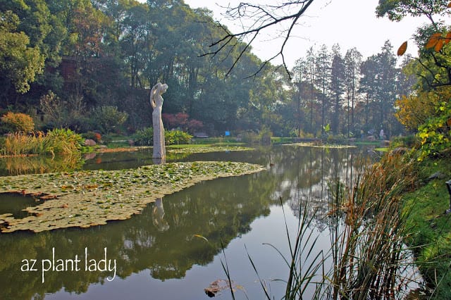 Martyrs Park, Changsha, Fall 2007 