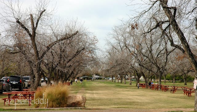 rural oasis