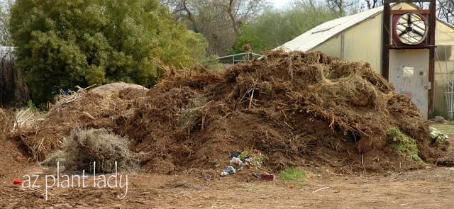 compost pile