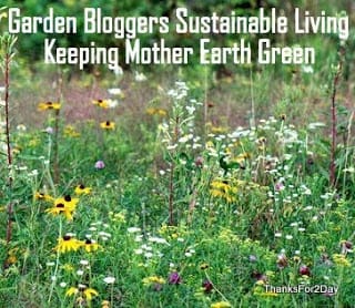 Garden Bloggers Sustainable Living