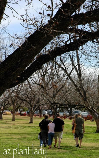 The Farm at South Mountain