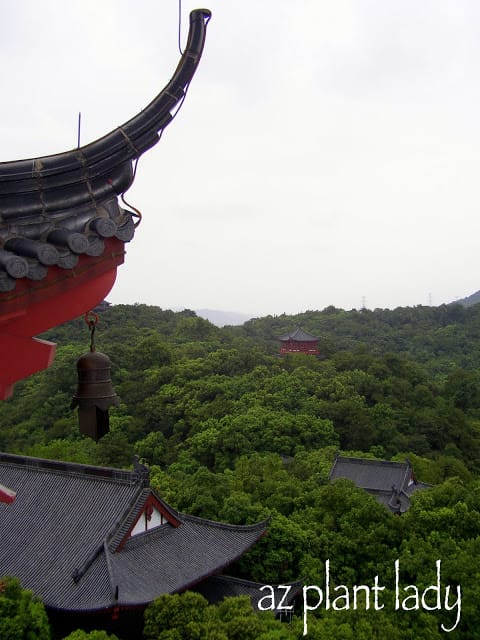 Hills-above-Hangzhou