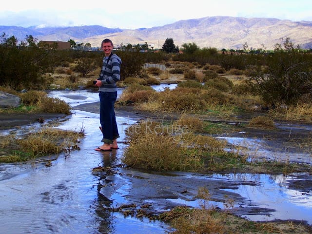 desert surrounding 