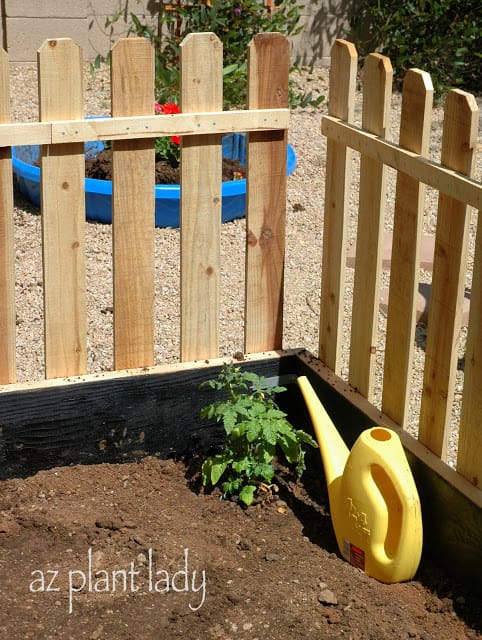 creation of our vegetable garden