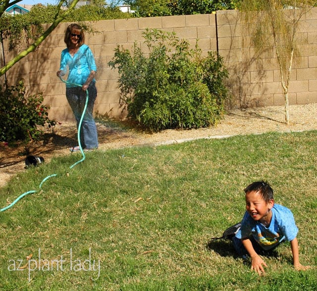 Garden Hoses 