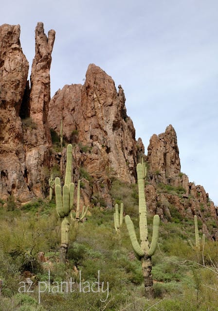 beautiful Superstition Mountains