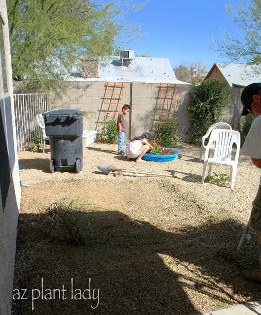 Vegetable gardening