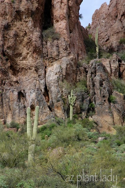 beautiful Superstition Mountains