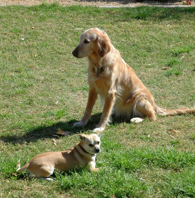 Tobey and Missy