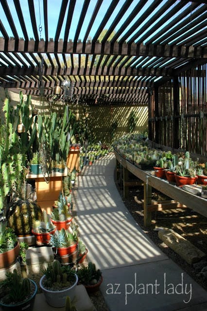 plant nursery