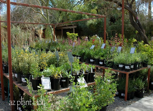 plant nursery