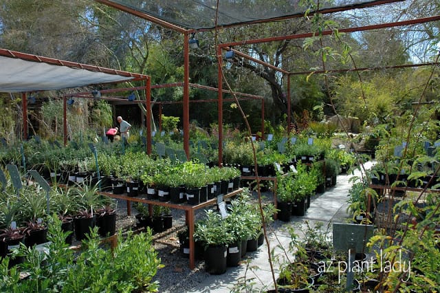 Plant Nursery