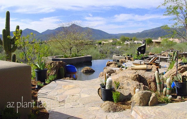 landscape boulders	