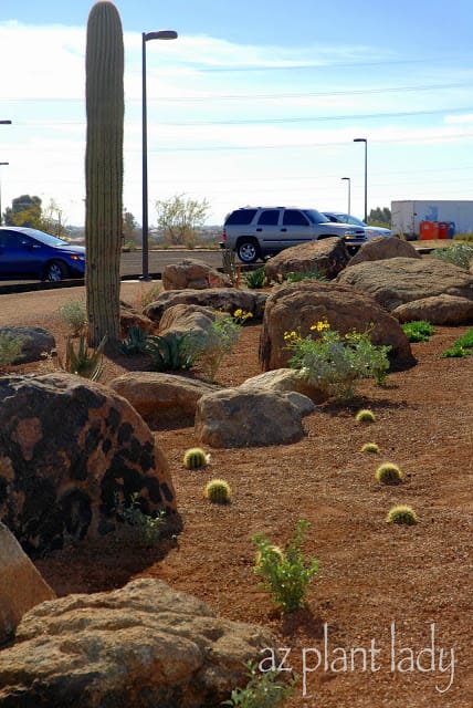 landscape boulders	