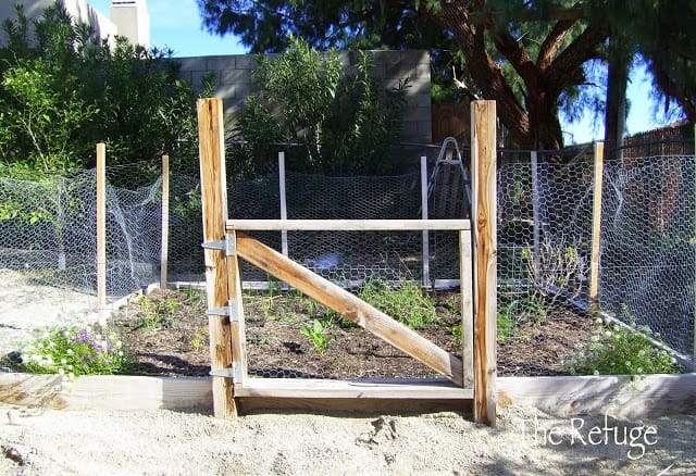 vegetable garden