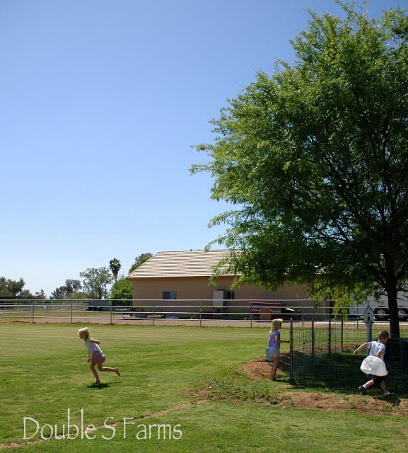 Easter egg hunt 