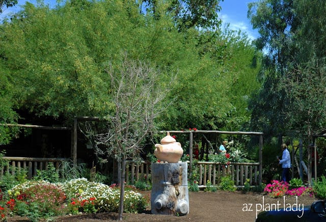 large shade tree