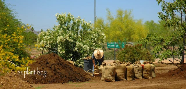 compost