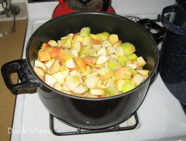 freshly canned fruit