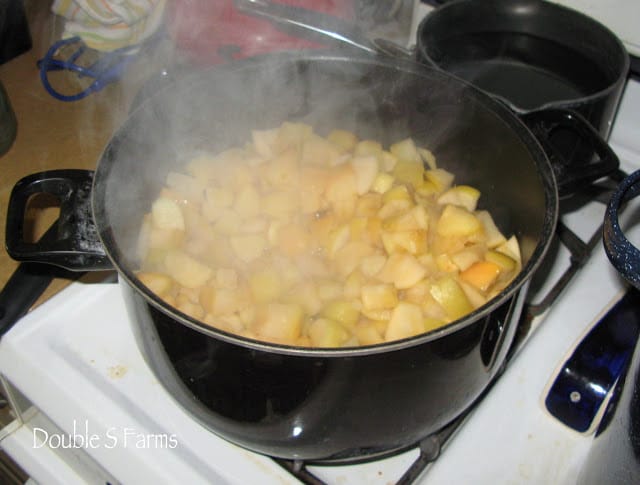 freshly canned fruit