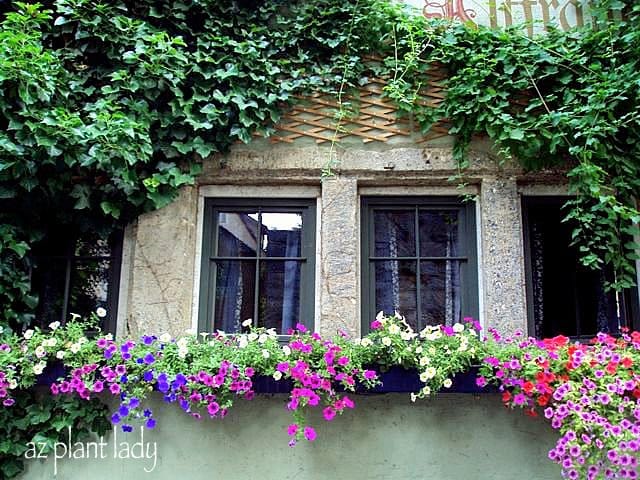 love window boxes