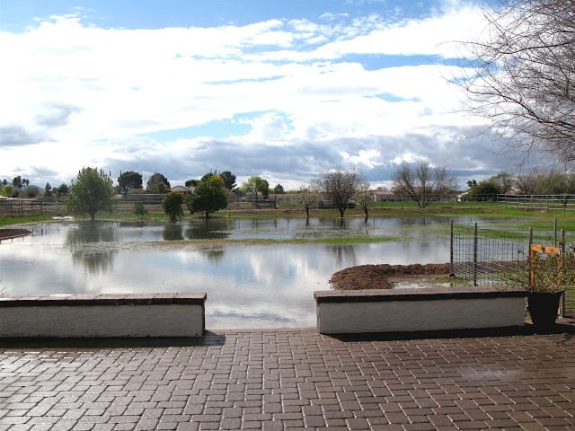 flood irrigation