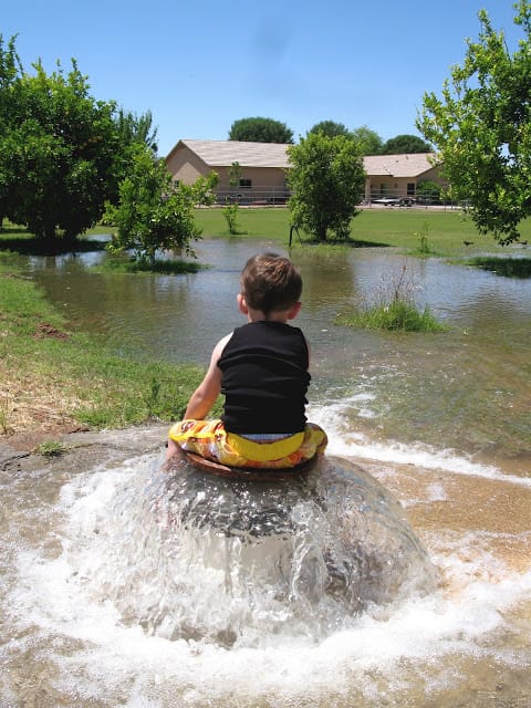 flood irrigation