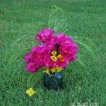 July Garden Bouquet