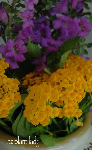 Monthly Garden Bouquet