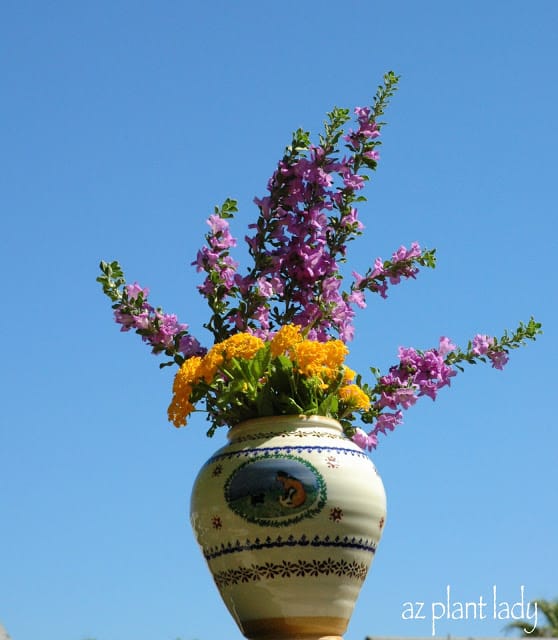 Monthly Garden Bouquet