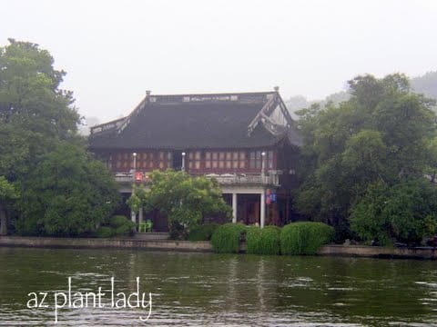 West Lake