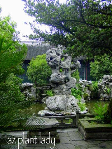 Pond-by-Zhejiang-Museum-1