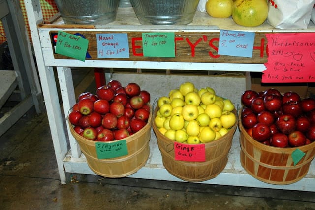 Local farmer's market