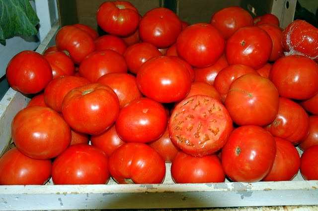 Local farmer's market