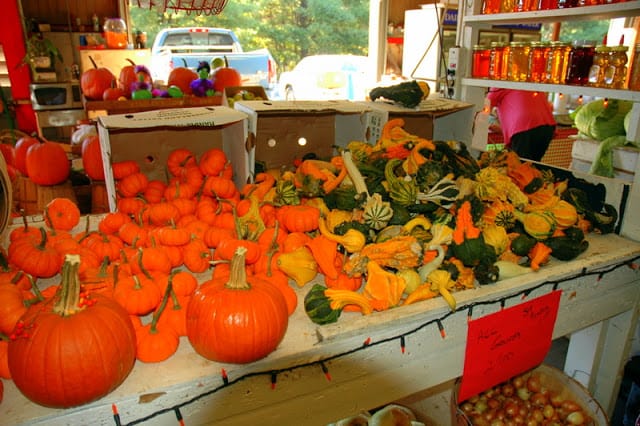 fall vegetables