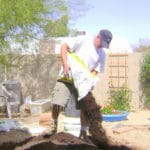 vegetable garden