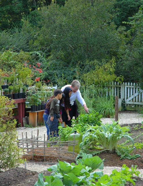 Colonial Garden