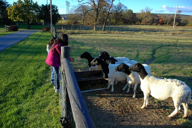 Amish country