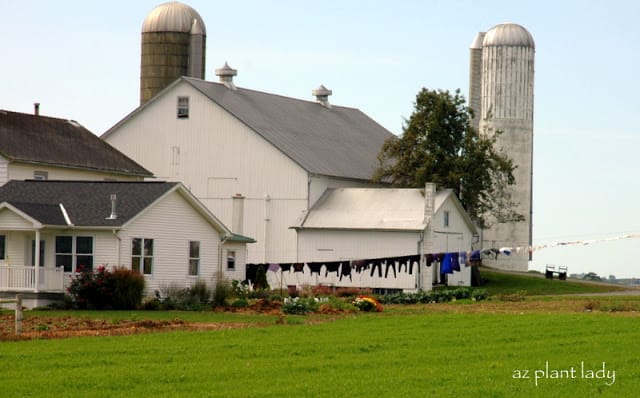 Amish country 