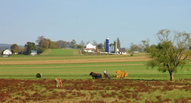 Amish farmer 